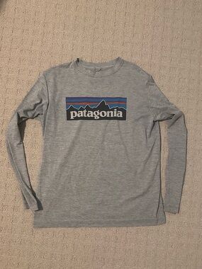 Patagonia Men’s Long-Sleeve Logo Tee in Light Gray with Multicolor Logo
